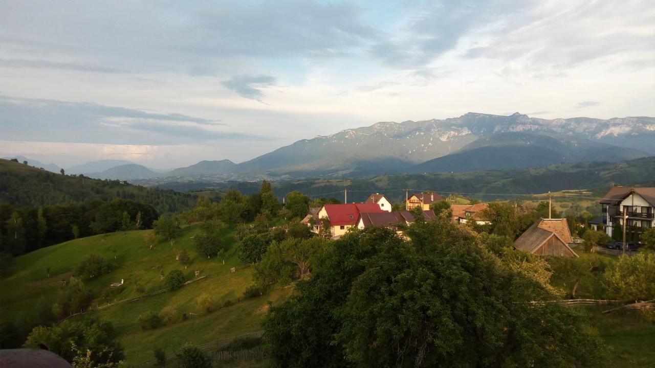 Pensiunea Tabacaru Pestera  Exterior photo